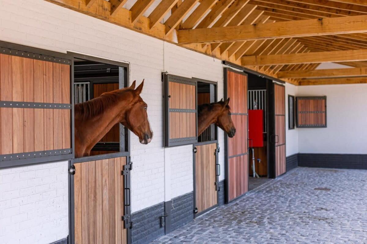 Huswell - Lady - Lovely Double Room At Ranch De Blauwe Zaal Bruges Exterior foto